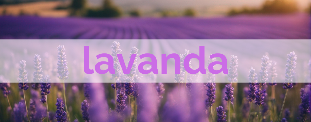 O Poder da Lavanda: Descubra o Óleo Essencial de Lavanda doTERRA