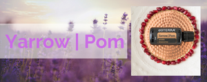 Yarrow | Pom Oil Usos e Benefícios