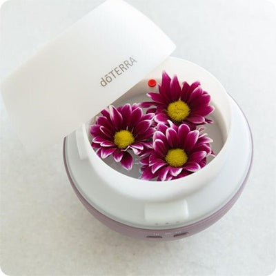 Abrir a coleção Difusores doTERRA