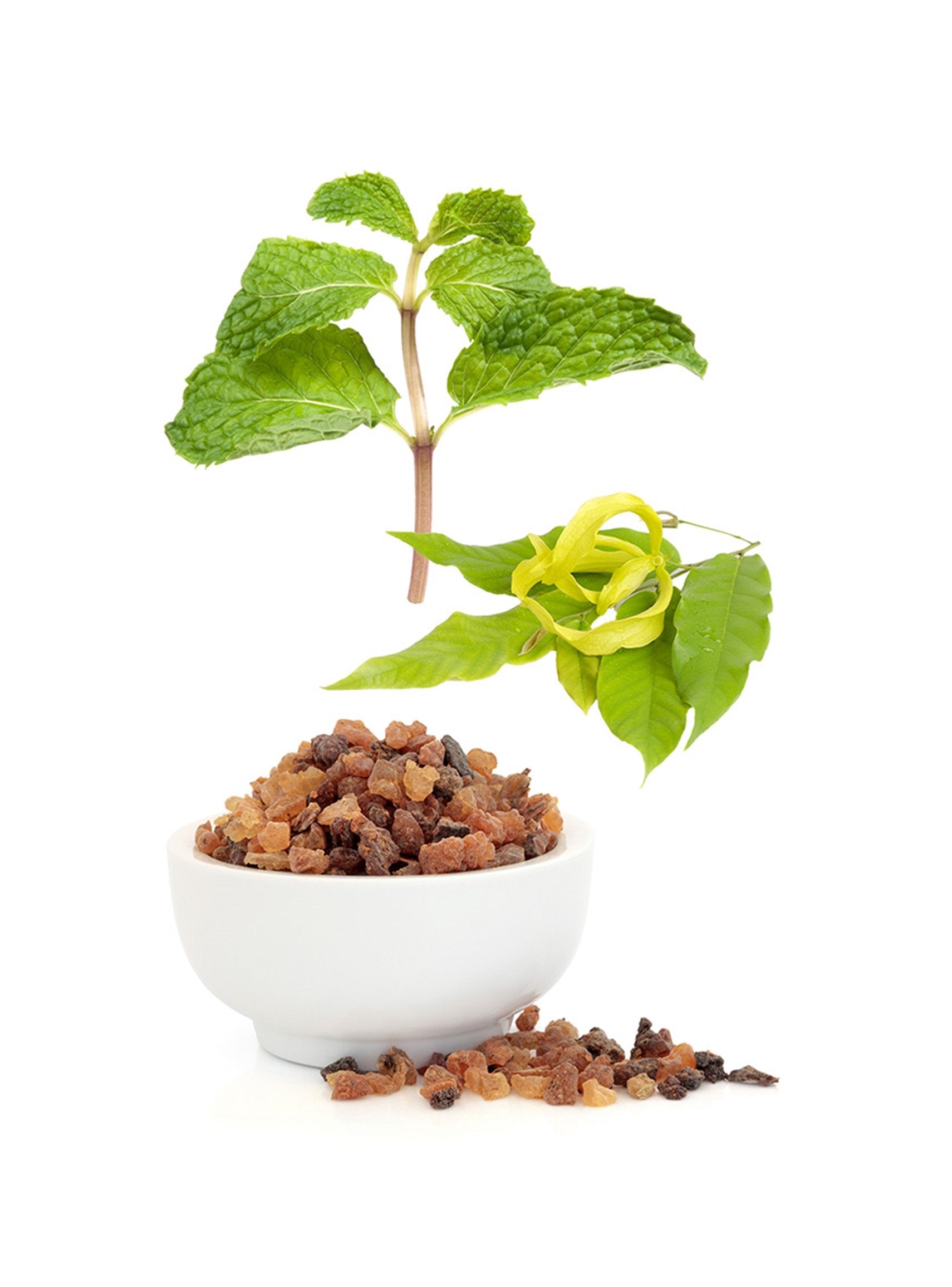 Botanico - Mistura Reconfortante online na EVOdaTERRA