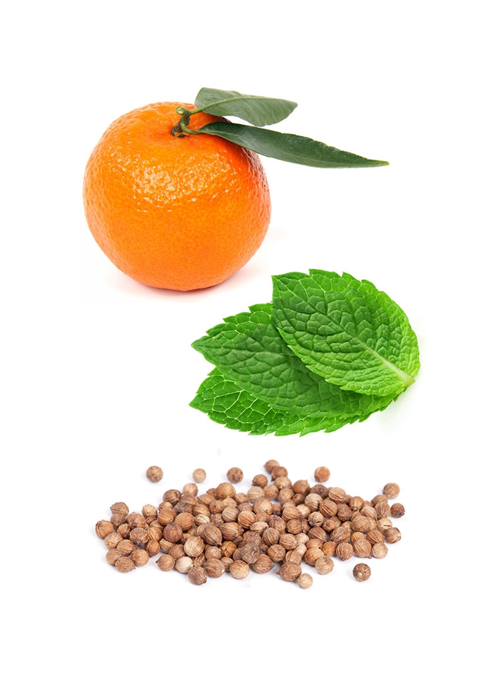 Compre Óleo Essencial Motivate® | 5ml - Mistura Motivadora online na EVOdaTERRA