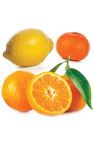 Citrus Bliss | 15 ml - Mistura Cítrica