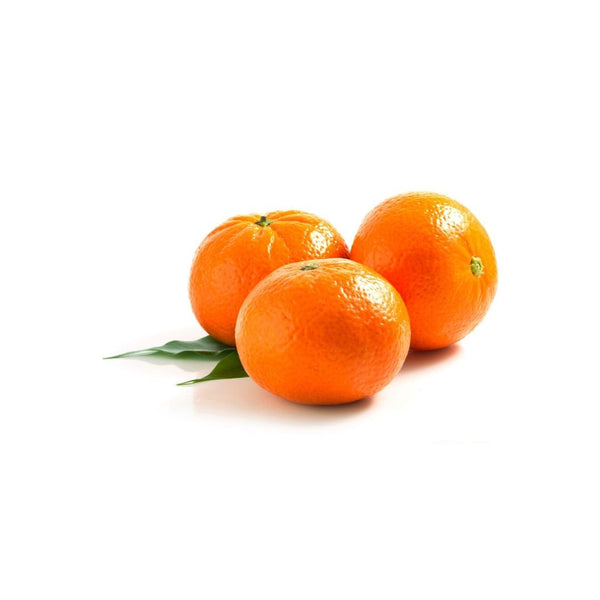 botanica tangerina doterra na EVOessencia