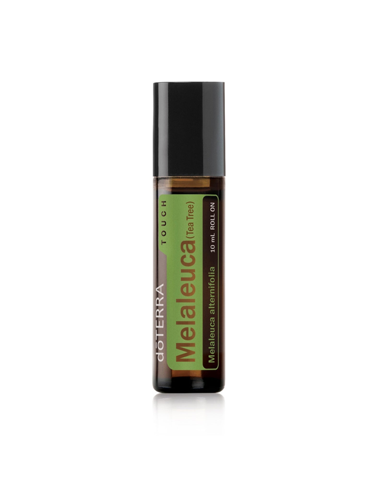 Compre Melaleuca Roll-on | 10 ml online na EVOdaTERRA