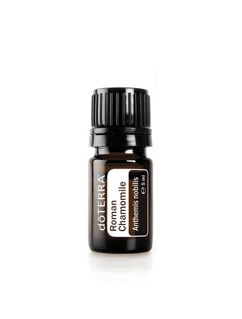Compre Óleo Essencial de Camomila Romana | 5ml online na EVOdaTERRA