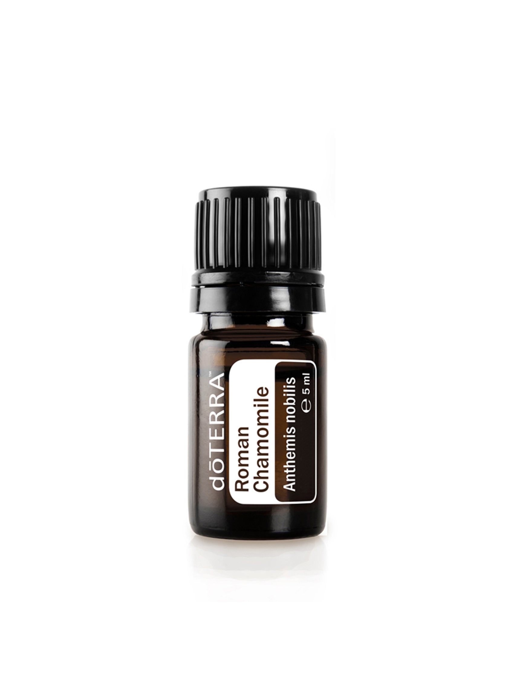 Compre Óleo Essencial de Camomila Romana | 5ml online na EVOdaTERRA