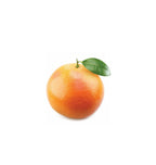 Toranja | 15 ml online na EVOessencia