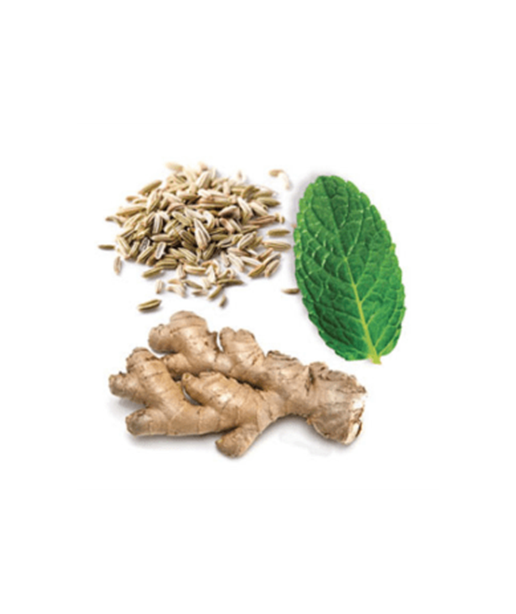 Compre Óleo Essencial ZenGest® | 15ml online na EVOdōTERRA