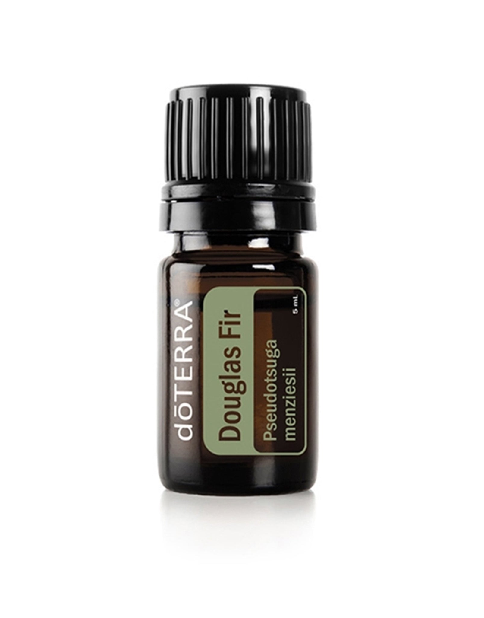 Compre Óleo essencial de Douglas Fir | 15 ml online na EVOdaTERRA