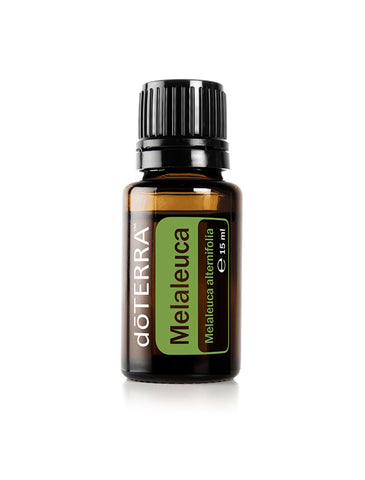 Compre Óleo Essencial de Melaleuca | 15 ml online na EVOessencia